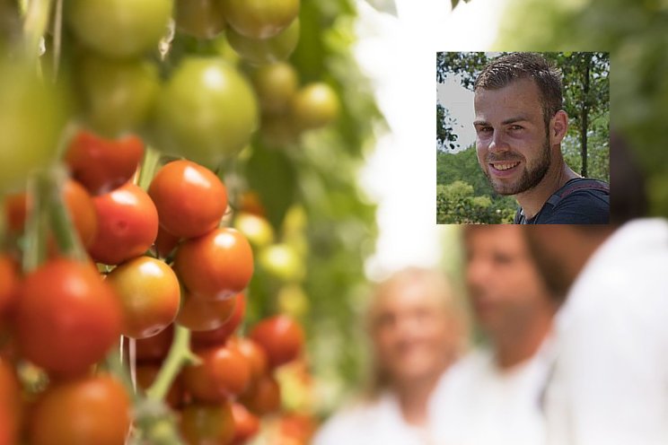 Podcast HortiContact: Nieuwe tomatenrassen