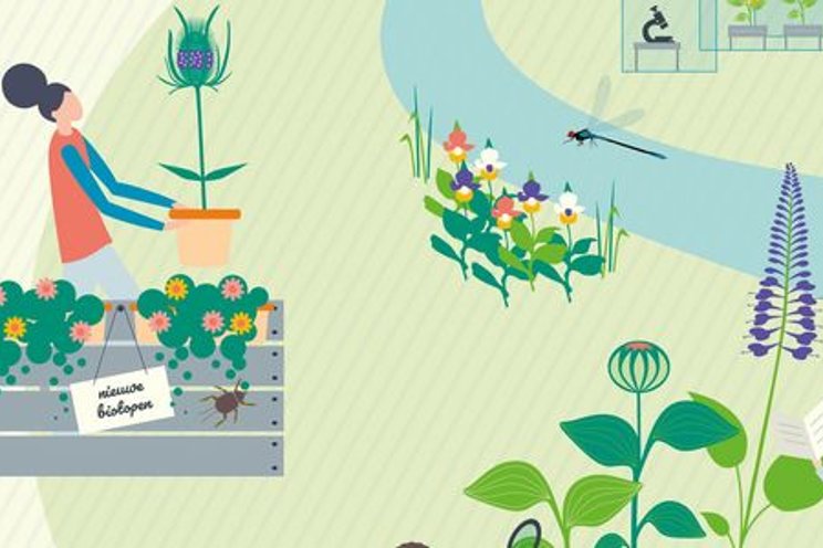 Glastuinbouw kweekt biodiversiteit