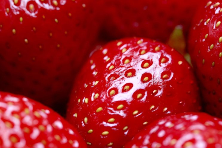 Landelijke Aardbeiendag op woensdag 8 januari