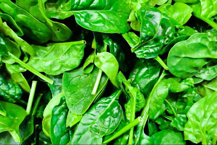 Van Hortibiz Daily News: Indoor-grown spinach