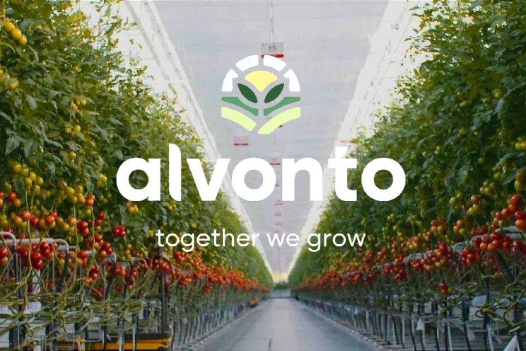 Tomatenbedrijven samen verder als Alvonto