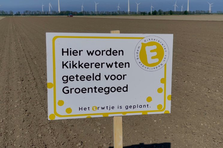 Kikkererwten van Nederlandse bodem