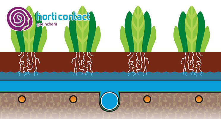 HortiContact Innovation Award - Preshow 2022: Sercom