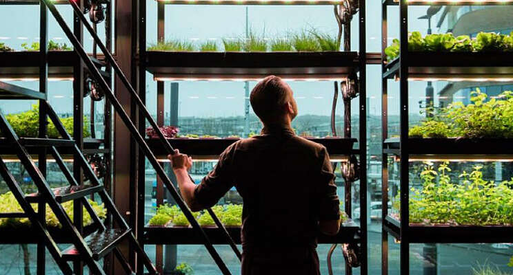 Hotel met eigen vertical farm opent deuren