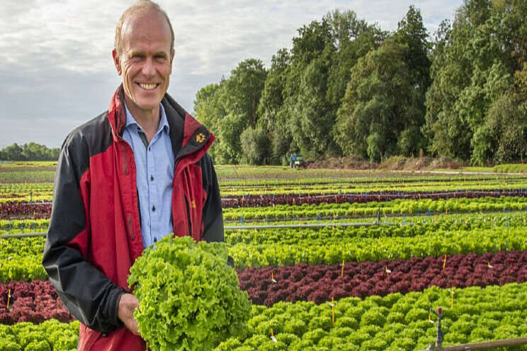 Slarassen resistent tegen nieuwe valse meeldauw