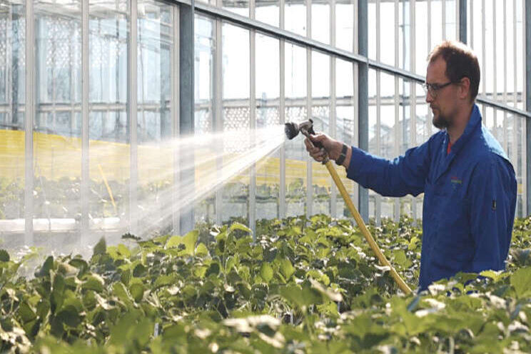 Fresh Forward naar nieuwe vestiging in NEXTgarden