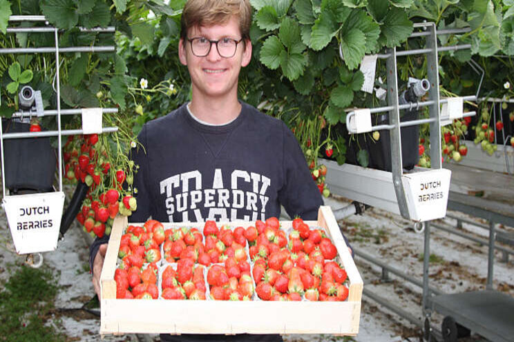 'Betere beworteling aardbeien door meer zuurstof'