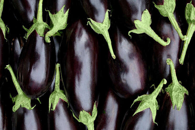 Extra biologisch middel tegen witte vlieg in aubergines