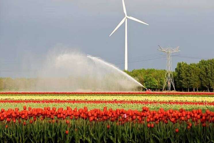 Beregeningsverbod heeft overdag nauwelijks effect