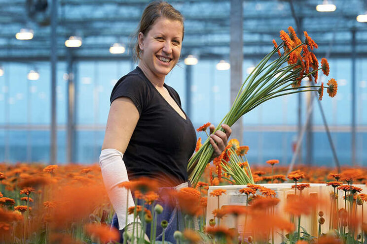 Columnist Volkskrant krijgt tuinbouwlesje